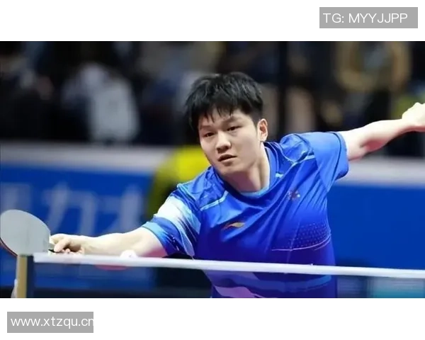 樊振东十战全胜王楚钦马龙赞誉引发争议是否值得信赖